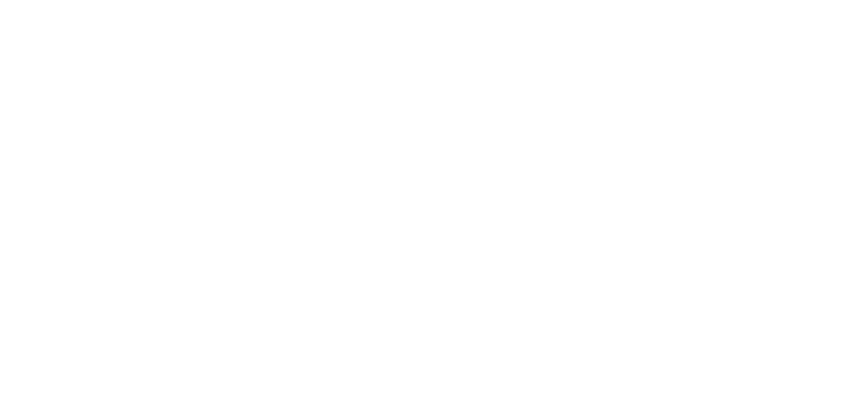 PRIMOTEL Logo